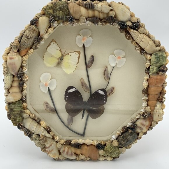Vintage Butterfly & Seashell Shadow Box Mounted Butterflies, Sailor’s Valentine - Picture 1 of 12